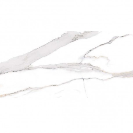 SWAN SATVARIO 60x120
