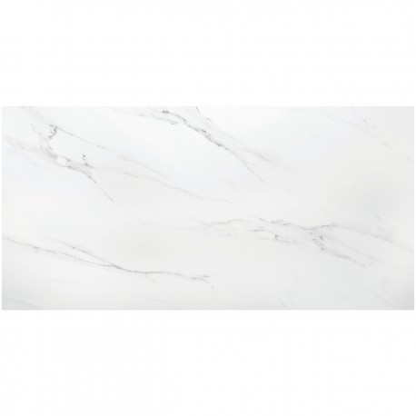 POLO CARARA 60x120